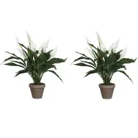 Mica Decorations 2x stuks spathiphyllum lepelplant kunstplanten wit in keramieken pot H50 x D40 cm - Kunstplanten