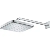 GROHE Tempesta Douchekop 26687000