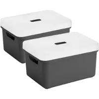 Sunware Opbergboxes - manden - 4x stuks - antraciet - 5 liter - kunststof - transparante deksel - 25 x 18 x 12 cm