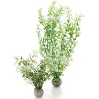 BiOrb Aquariumtoebehoren winterbloem set 2