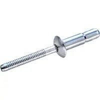 Goebel - 250 x Constructie blindklinknagels (Ø x L) 4,8 x 10,5 mm - Staal verzinkt / Staal verzinkt - Platbolkop - GO-LOCK - 7880504810 - Popnagel