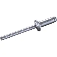 Goebel - 1000 x Blindklinknagels (Ø x L) 3 x 4 mm - RVS A2 / RVS A2 - Vlakke kop - STANDARD - 7030130400 - ISO15983 - Popnagel