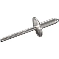 Goebel - 250 x Blindklinknagels (Ø x L) 4,8 x 10,5 mm - RVS A2 / RVS A2 - Grote kop - STANDARD - 7035148100 - Popnagel