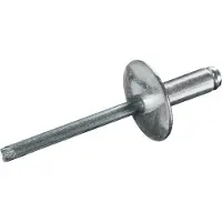 Goebel - 250 x Blindklinknagels (Ø x L) 4,8 x 10 mm - Staal verzinkt / Staal verzinkt - Grote kop - STANDARD - 7081348100 - Popnagel