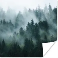 PosterMonkey Poster Mist - Bomen - Bos - 30x30 cm