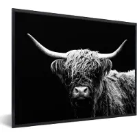 PosterMonkey Fotolijst incl. Poster - Schotse Hooglander - Koe - Zwart - Wit - Dieren - 80x60 cm - Posterlijst