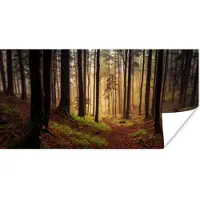 PosterMonkey Poster Bomen - Natuur - Bos - 120x60 cm