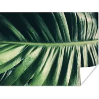 PosterMonkey Poster Bladeren - Tropisch - Jungle - 40x30 cm