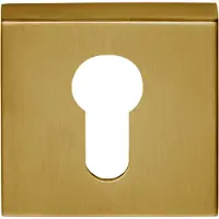 Formani Basics BSQY53 cilinderplaatje vierkant - PVD mat goud