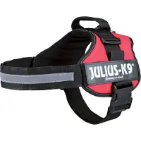 Julius-K9 Kabelboom maat 2 rood (2, Hond, Algemeen), Kraag + Leiband