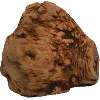 Chewies Kauwwortel Hondensnack L