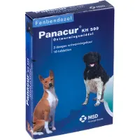 Panacur hond / kat 500 mg 10 tablet