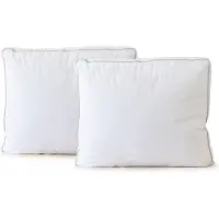Elegance Hoofdkussen Night Care Box Model - Kussen 50x60x10 cm - 2 Stuks Hoofdkussens