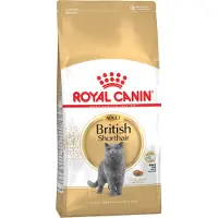 Royal Canin Droogvoer kat british shorthaar adult 10 kg Royal Canin online kopen