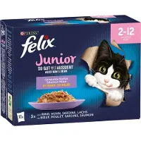 Felix 24x100g Elke Dag Feest Junior Selectie in Gelei Mix selectie Kattenvoer