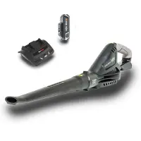 Murray 18V Leaf Blower Kit