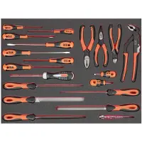 Bahco Foaminlay Fit&Go 3/3 met schroevendraaiers | tangen en vijlen - 20-delig - FF1A145