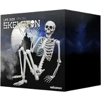 Mikamax Life Size Skeleton - 170 cm - Human Size - Halloween Skelet