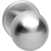 Intersteel Voordeurknop bol vast op rozet 10mm RVS