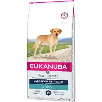 Eukanuba Labrador Retriever Adult - Droogvoer voor honden - 12 kg