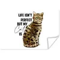 PosterMonkey Poster Katten - Spreuken - Quotes - Life isn't perfect but my cat is - 90x60 cm