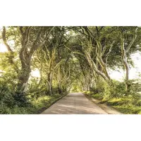 Komar Vliesbehang Digitale print vlies - Golden Hedges - Afmeting 400 x 250 cm (1 stuk)