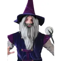 Funny fashion Grijze magier pruik met baard - Verkleedpruiken