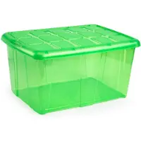 Forte Plastics 1x Opslagbakken/organizers met deksel 60 liter 63 x 46 x 32 transparant groen - Opbergbox