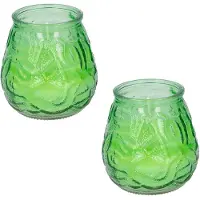 Arti Casa Set van 4x stuks Citronella lowboy tuin kaarsen in groen glas 10 cm - Anti muggen/insecten artikelen