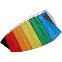 Noname Parafoil Stunter Kite 80x40cm met Tas