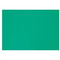 Boska Kaas Snijplank HACCP - Groen - 450x330x20 mm - Ook Voor Groente