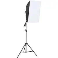vidaXL Studiolamp professioneel 60x40 cm