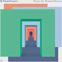 Konkurrent B. Fleischmann - Music For Shared Rooms (2 LP)