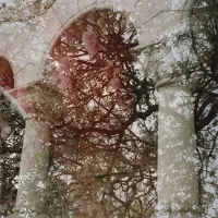 Konkurrent Mary Lattimore & Growing - Gainer (LP) (Coloured Vinyl) (Limited Edition) (Remastered)