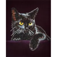 Diamond Dotz Midnight Cat - Diamond Painting - 4.389 Dotz - 36x28 cm
