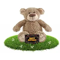 Happy horse Verjaardag knuffel beer beige 22 cm + gratis verjaardagskaart - Knuffelberen