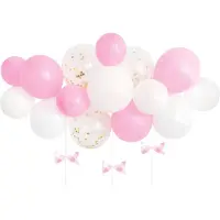 Haza Ballonnenboog Set Roze (15st)