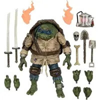 NECA Leonardo Als De Gebochelde Igor Figuur 18 Cm