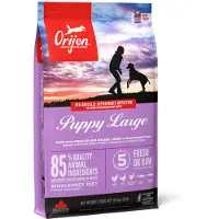 Orijen Hondenvoer Whole Prey Puppy Large Breed 6 kg
