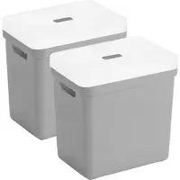 Sunware opbergboxen met deksel - 2x - Sigma Home - kunststof - 25 liter - lichtgrijs - opberg bakken / manden - 35 x 25 x 36 cm