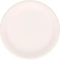 Did Feestbordjes/gebaksbordjes karton - 105x - wit - rond - papieren bordjes