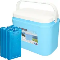 Excellent houseware koelbox kunststof blauw 10 liter met 4x blauwe koelelementen van 20 x 10 cm