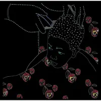 Konkurrent Big Joanie - Back Home (CD)