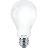 Philips E27 led-lamp | 17.5W (150W) | mat | helder wit | peermodel