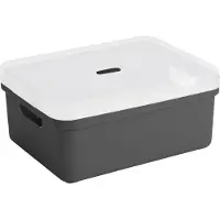 Sunware opbergbox mand kist - 24 liter - antraciet - kunststof - met transparante deksel - 45 x 35 x 18 cm - Sigma serie