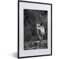 PosterMonkey Fotolijst incl. Poster Zwart Wit- Vos in het bos tijdens een regenbui - zwart wit - 40x60 cm - Posterlijst