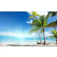 Consalnet Fotobehang Zonnig strand met palm