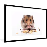 PosterMonkey Fotolijst incl. Poster - hamster eet zaden - 120x80 cm - Posterlijst