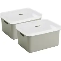Sunware opbergbox - 2x stuks - 32 liter - lichtgroen - kunststof - transparante deksel - 45x35x24 cm - Sigma serie
