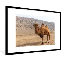 PosterMonkey Fotolijst incl. Poster - Staande kameel in China - 90x60 cm - Posterlijst
